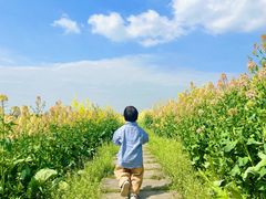 -中国天府农业博览园