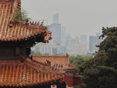 -北陵公园