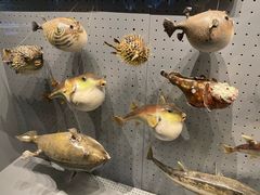 -贝林大翅鲸简餐厅(国家海洋博物馆店)