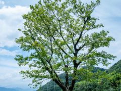 -天姥山