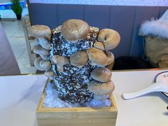 -大熊猫毛肚火锅(烟台万象汇店)