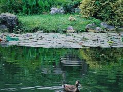 -杭州植物园
