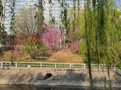-金宫殿故址