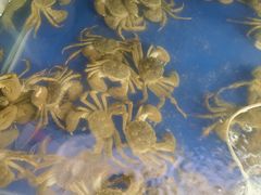 -阳澄湖大闸蟹·琼灵阁牌品牌连锁(吴中总店)