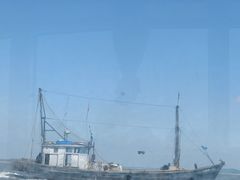 -大鹿岛