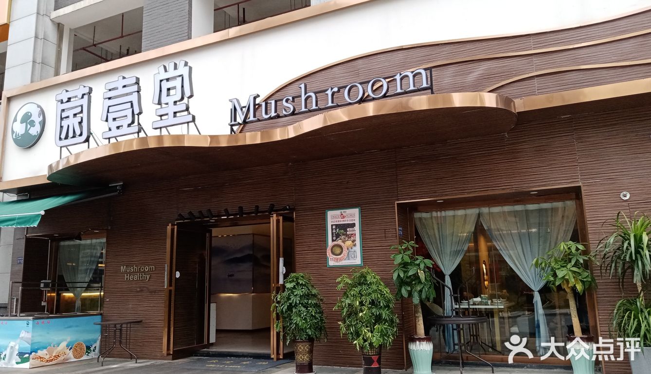 冬日进补之野生菌