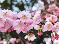 -静安雕塑公园