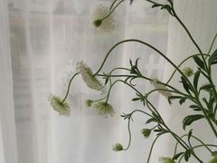 -今日Cake蛋糕茶歇·甜品台定制
