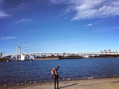 -台场海滨公园船码头