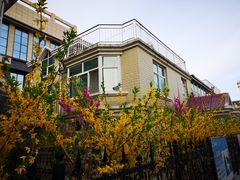 -兴芮温泉度假区