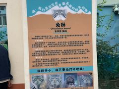 -青藏高原野生动物园