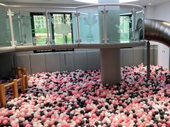 -龙格亲子游泳·水育早教运动中心(绿城店)