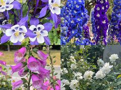 -人民公园(罗湖区)