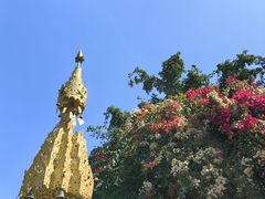 -品德宏·孔雀宴的发源地(金塔园店)