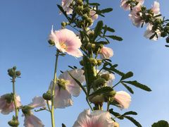 -九里河湿地公园