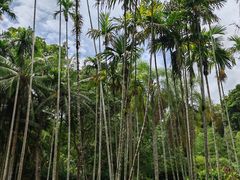 -中国科学院西双版纳热带植物园
