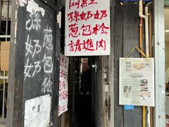 -孙奶奶葱包桧