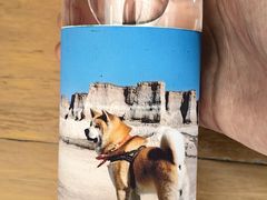 -潘家园(地铁站)