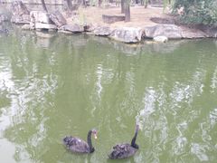 -石家庄市动物园