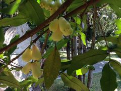 -七仙岭君澜度假酒店