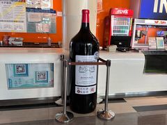 -金逸影城(荟聚IMAX激光店)