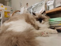 -灯塔咖啡馆BOOK·Coffee Shop