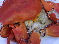 旅南活海鮮-旅南活海鲜-屏东(墾丁海鮮，海鮮餐廳，墾丁團體合菜，平價熱炒，墾丁熱炒店，活海鮮推薦，在地海鮮餐廳)