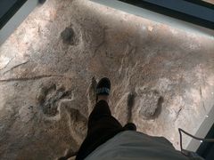 -湖南省地质博物馆