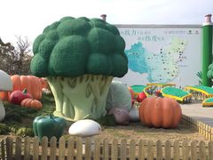 -上海都市菜园