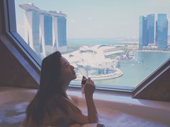 -新加坡丽思卡尔顿美年酒店