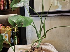 -健眺小海鲜(临海后山店)