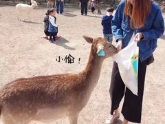 -北京麋鹿生态实验中心