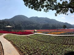 -广州市石门国家森林公园
