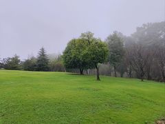 -南山植物园