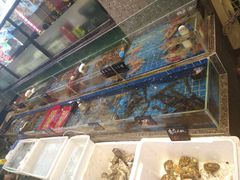 水产区-飞尝蚝·顺德菜·鱼生(顺德总店)