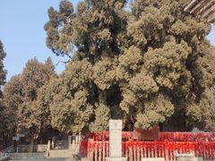 -四门塔风景区
