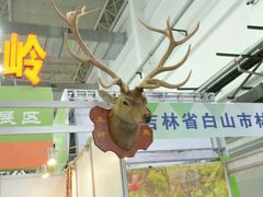 -长春农博园