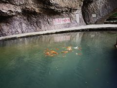 -雁荡山三折瀑景区