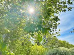 -元大都城垣遗址公园