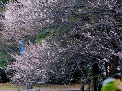 -国际非物质文化遗产博览园