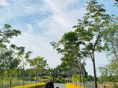 -上海长兴岛郊野公园