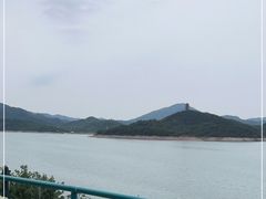 -望湖烤鱼