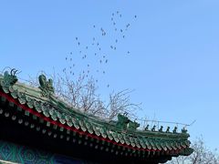 -历代帝王庙博物馆