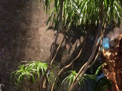 -观宴·品质赣菜(高新大道店)