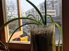 靠窗位-雕刻时光咖啡馆(南院门店)