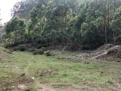 -黄埔油麻山森林公园