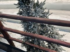 -世界之窗阿尔卑斯冰雪世界