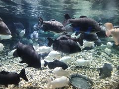-成都浩海立方海洋公园