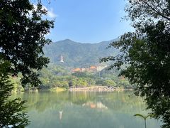 -深圳仙湖植物园
