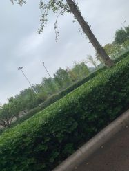 -HEYAN长风荷妍专业脱毛美肤
